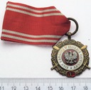 Odznaczenie Siły Zbrojne W Służbie Ojczyzny V
