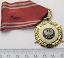 Medal Siły Zbrojne W Służbie Ojczyzny XX