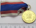 Odznaka W Służbie Narodu ZŁOTA