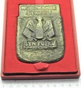 Medal Wodowanie Statku Syn Pułku