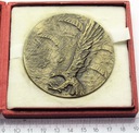 Medal Za Zasługi Dla 6 Pomorskiej Dywizji (2)