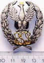 Odznaka PSOS Absolwenta Akademii Obrony Narodowej