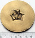 Medal Międzynarodowy Rok Dziecka 1979