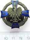 Odznaka 54 Pułk Piechoty Strzelców Kresowych