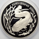 20 zł złotych 1995 Sum