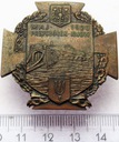 Odznaka Przyczółek Kijów, 1920