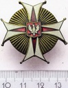 Odznaka 22 Pułk Ułanów Podkarpackich Złoczowo