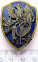 Odznaka 41 Pułk Piechoty