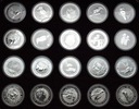 Zestaw EKSKLUZYWNY 20 x Kookaburra 1 Dolar SREBRO