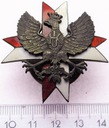 Odznaka 1. Pułku Ułanów Krechowieckich