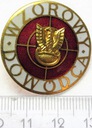 Odznaka Wzorowy Dowódca