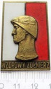 Odznaka Wzorowy Żołnierz BRĄZOWA