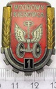 Odznaka Wzorowy Kierowca