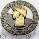 Odznaka Wzorowy Chorąży