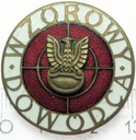 Odznaka Wzorowy Dowódca