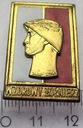 Odznaka Wzorowy Żołnierz ZŁ