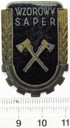 Odznaka Wzorowy Saper