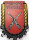 Odznaka Wzorowy Strzelec