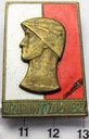 Odznaka Wzorowy Żołnierz BR