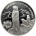 20 zł złotych 2006 Świstak
