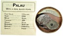 Palau 5 dolarów 2006 Czarna perła