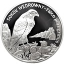 20 zł złotych 2008 Sokół Wędrowny