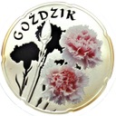Świat Kwiatów Goździk Ag 925