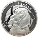 Najlepszy Przyjaciel Człowieka Beagle Ag925