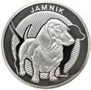 Najlepszy Przyjaciel Człowieka Jamnik Ag925