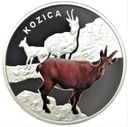 Symbole Przyrody Zwierzęta Kozica