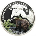 Symbole Przyrody Zwierzęta Niedźwiedź Brunatny