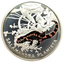 Symbole Przyrody Zwierzęta Salamandra Plamista