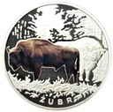 Symbole Przyrody Zwierzęta Żubr