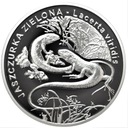 20 zł złotych 2009 Jaszczurka Zielona