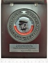 Medal wręczenia sztandaru dla Związku Piłsudczyków