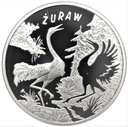 Podniebne Głosy Żuraw Ag999