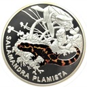 Symbole Przyrody Zwierzęta Salamandra Plamista