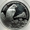 20 zł złotych 2008 Sokół Wędrowny SREBRO