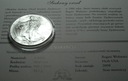 USA American Silver Eagle Dollar dolar 2008 1 oz uncja SREBRO