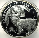 Najlepszy Przyjaciel Człowieka Yorkshire Terrier SREBRO