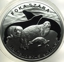 20 zł złotych 2007 Foka Szara Foki SREBRO