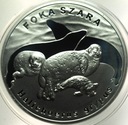 20 zł złotych 2007 Foka Szara Foki SREBRO (1)