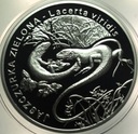 20 zł złotych 2009 Jaszczurka Zielona SREBRO