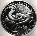 20 zł złotych 2009 Jaszczurka Zielona SREBRO