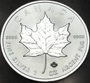 Kanada 5 dolarów 2019 Liść klonu klonowy uncja 1 oz SREBRO