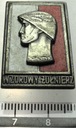 Odznaka Wzorowy Żołnierz