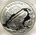 20 zł złotych 1998 Ropucha Paskówka SREBRO