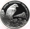 20 zł złotych 2008 Sokół Wędrowny SREBRO