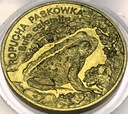 2 zł złote 1998 Ropucha paskówka