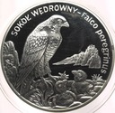 20 zł złotych 2008 Sokół Wędrowny SREBRO